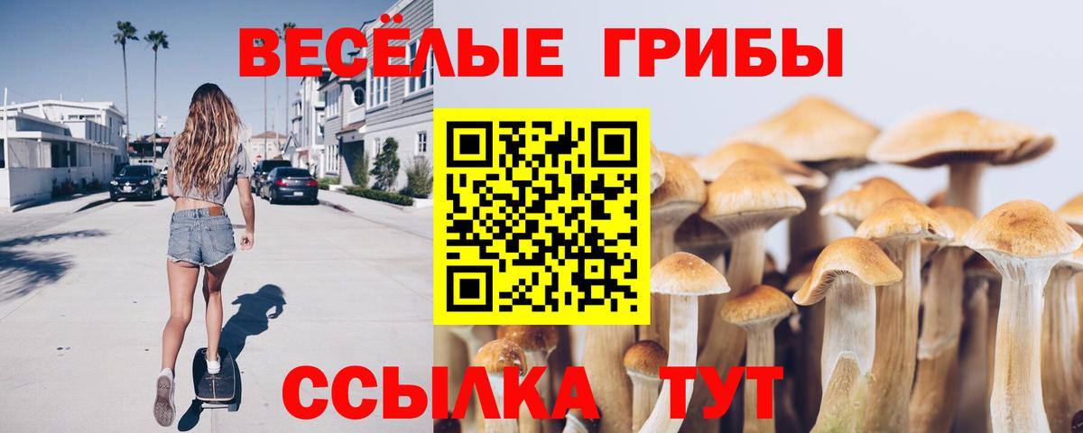 Галлюциногенные грибы Psilocybe  Вход с VPN  Галлюциногенные грибы ЛСД  Бирск 